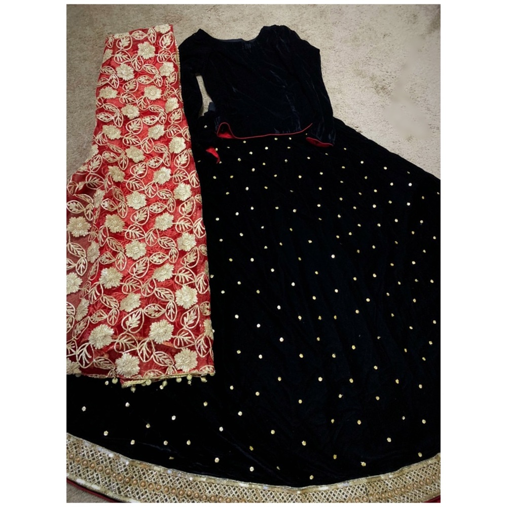 Pakistan Indian lengha choli